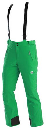 Kalhoty Descente Swiss pant zelené, lyžařské, pánské