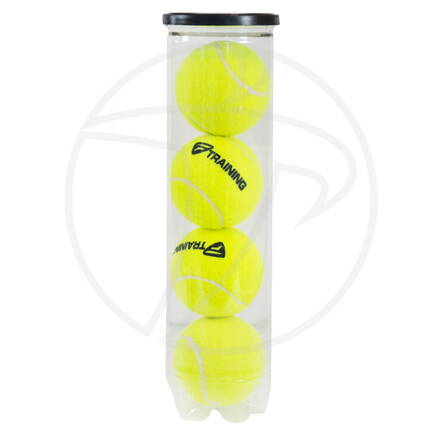 Tenisové míče Tecnifibre Training 4 ks v dóze